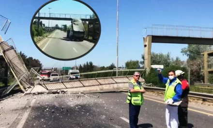 Video increíble: Un camión derribó un puente peatonal en Berazategui