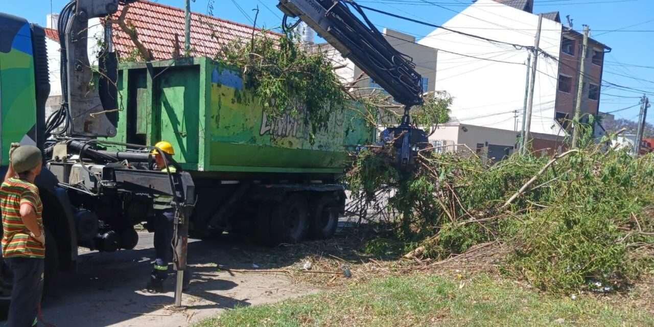 La Municipalidad de Avellaneda redobla tareas para mantener con servicios públicos la calle