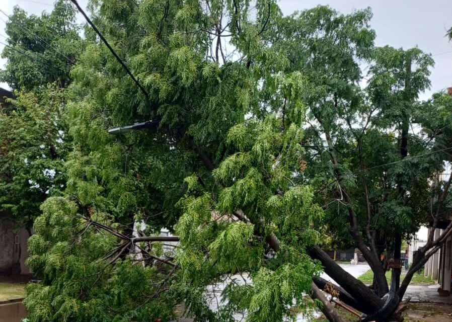 Comunicado de la Municipalidad de Avellaneda ante las lluvias y ráfagas de viento