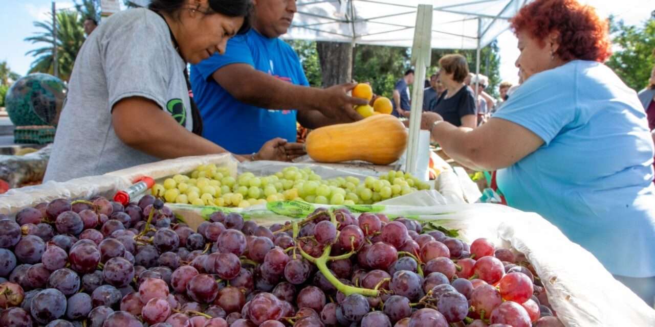 Verduras, frutas y más: En Berazategui promueven una Feria Agroecológica con precios super accesibles
