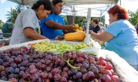 Verduras, frutas y más: En Berazategui promueven una Feria Agroecológica con precios super accesibles