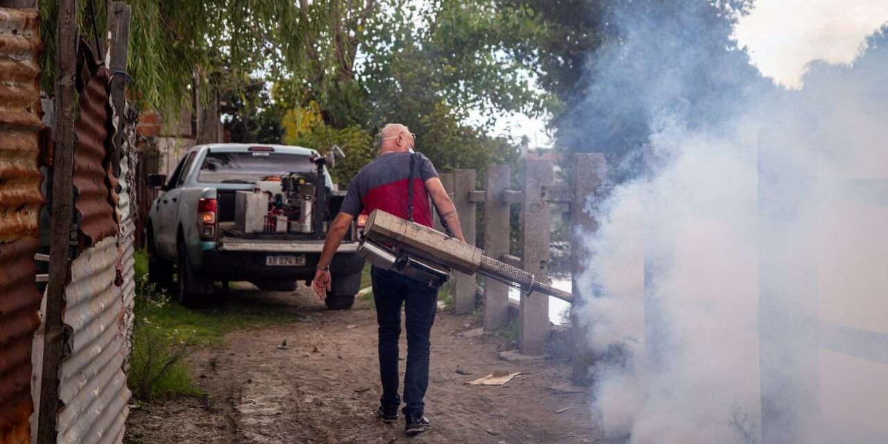 Invasión de mosquitos en el AMBA: Operativos en todo el distrito quilmeño