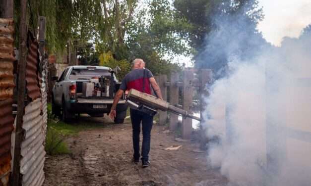 Invasión de mosquitos en el AMBA: Operativos en todo el distrito quilmeño