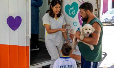 En Berazategui recomiendan cómo proteger a las mascotas de los mosquitos