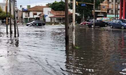 Romina Del Plá: "La Casta eran las familias que están inundadas”