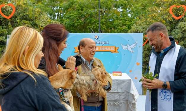 Animalitos de Dios: Bendijeron cientos de mascotas en Berazategui