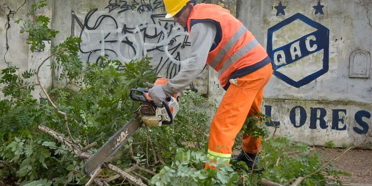 Poda Municipal en varios barrios de Quilmes