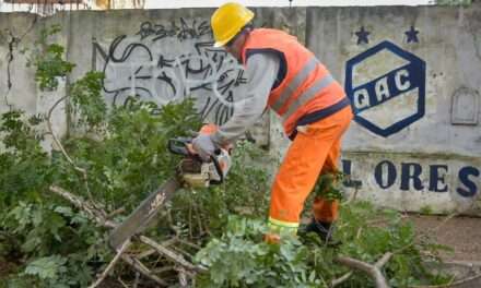 Poda Municipal en varios barrios de Quilmes