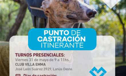 Punto de castración itinerante en Lanús Oeste: reservá tu turno presencial y gratuito