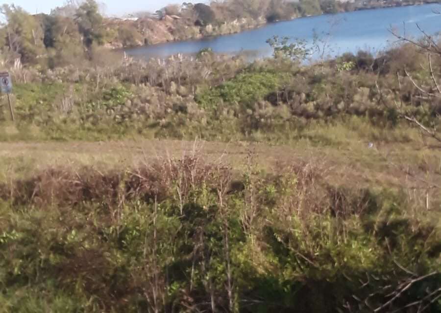 Vecinos y entidades preocupados por movimientos de tierra ilegales en la reserva ecológica del Parque Industrial de Bernal