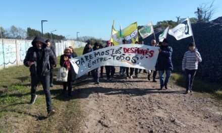 Ambientalistas preocupados y activos por otro desmonte en Hudson del Grupo Klover