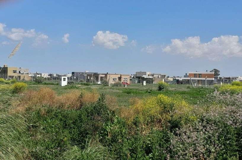 Pueblos de Plata en Hudson: Ambientalistas quieren plantar árboles pero la firma Caputo SA quiere hacer una calle y un shopping