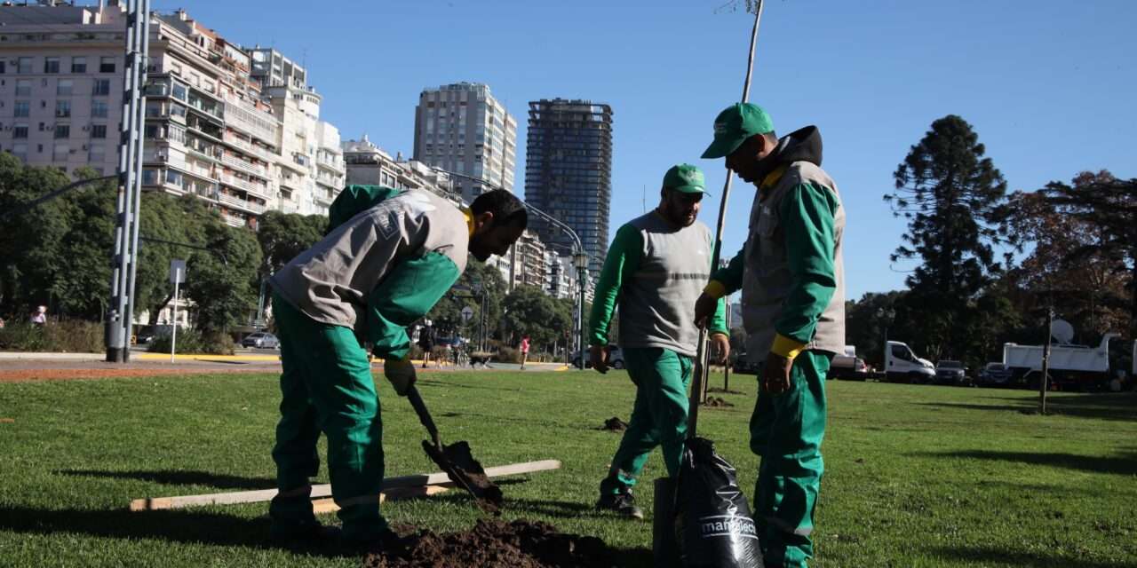 En la Ciudad de Buenos Aires se plantarán un 50 por ciento más de árboles que el año pasado