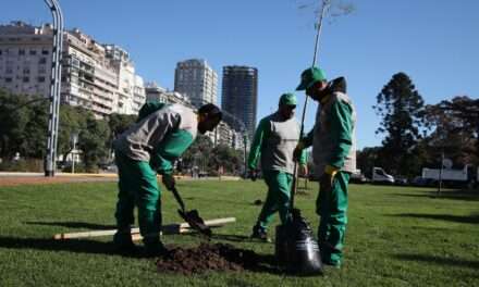 En la Ciudad de Buenos Aires se plantarán un 50 por ciento más de árboles que el año pasado