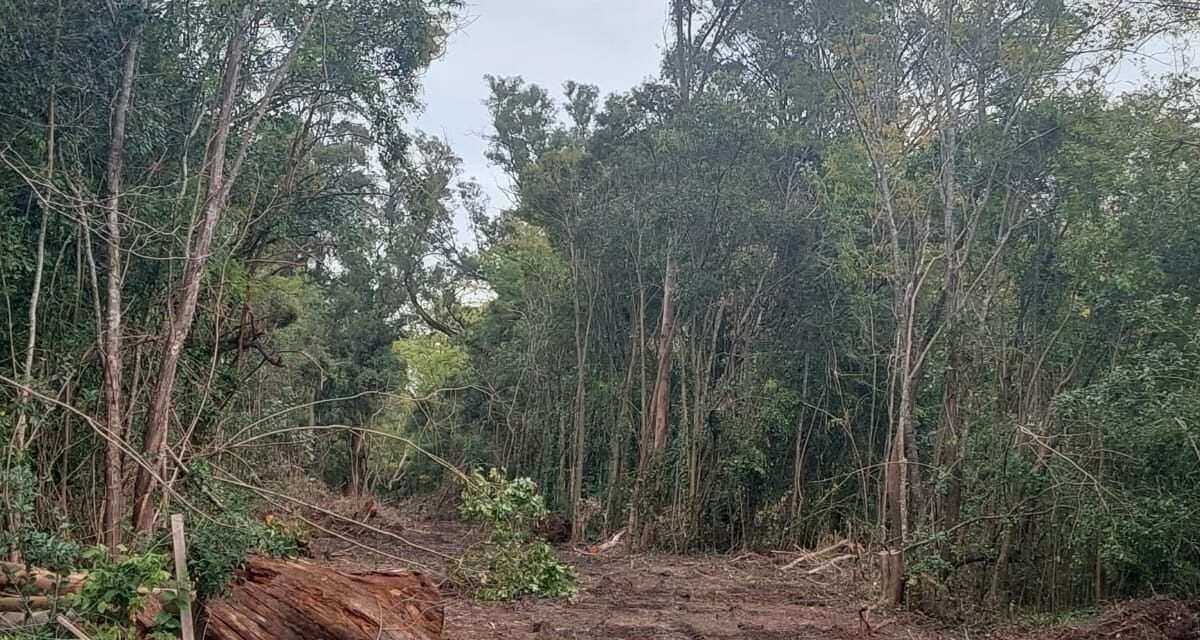 La empresa Fiducia Urbana, desarrolladora del countrie 'Ayres de Hudson', en la mira de ambientalistas