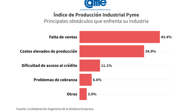 La industria pyme cayó 20,4% anual en junio