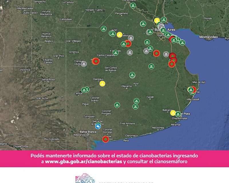 Cuatro municipios bonaerenses con alerta roja por cianobacterias