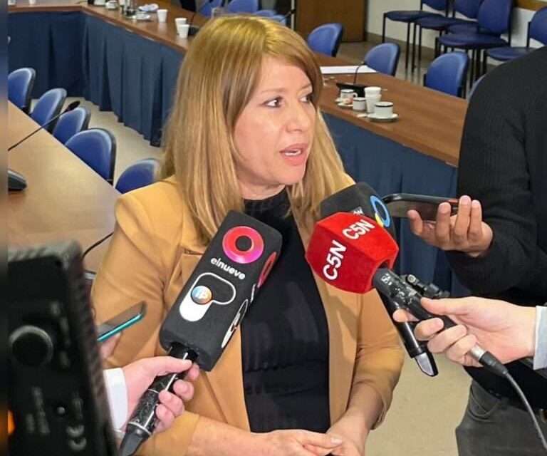 Mónica Litza celebró la media sanción: "La Ley de Financiamiento de Universidades es una conquista irrenunciable"