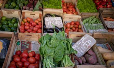 Llega el Mercado de Productores Familiares a Lanús Este