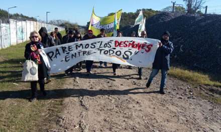 La Justicia hizo lugar a un reclamo ambientalista sobre el barrio cerrado 'Aires de Hudson'