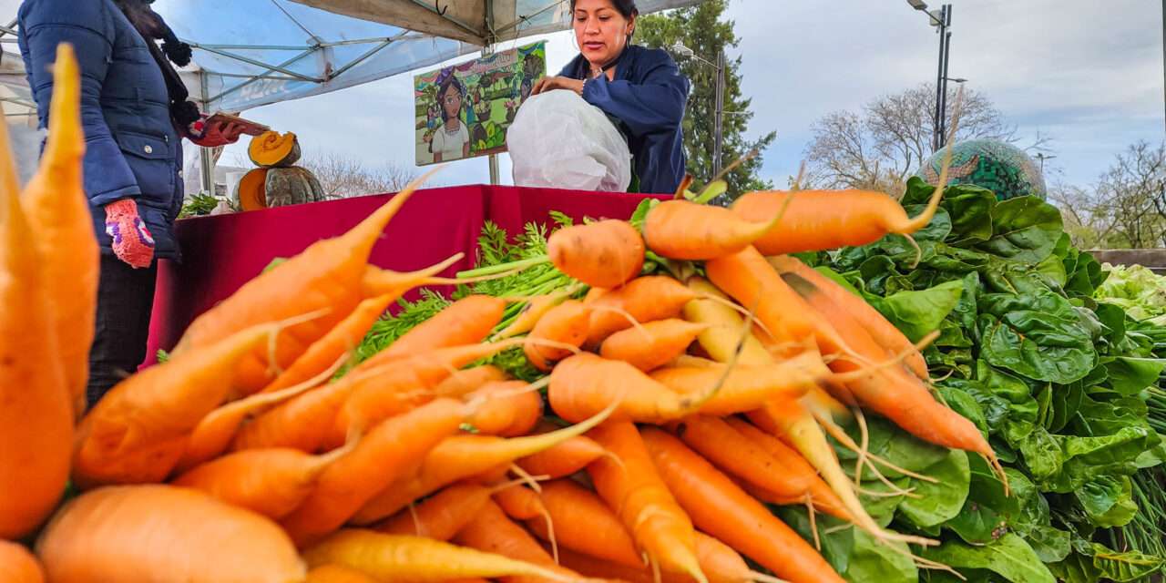 Con la Feria Agroecológica, Berazategui sigue apostando a la producción sostenible