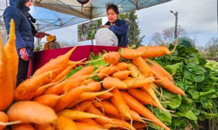 Con la Feria Agroecológica, Berazategui sigue apostando a la producción sostenible