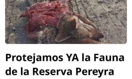 Ambientalistas exigen proteger la fauna de la Reserva Parque Pereyra Iraola