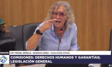 Otro papelón: Insultos y gritos en Diputados protagonizados por una quilmeña