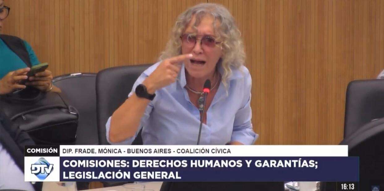 Otro papelón: Insultos y gritos en Diputados protagonizados por una quilmeña