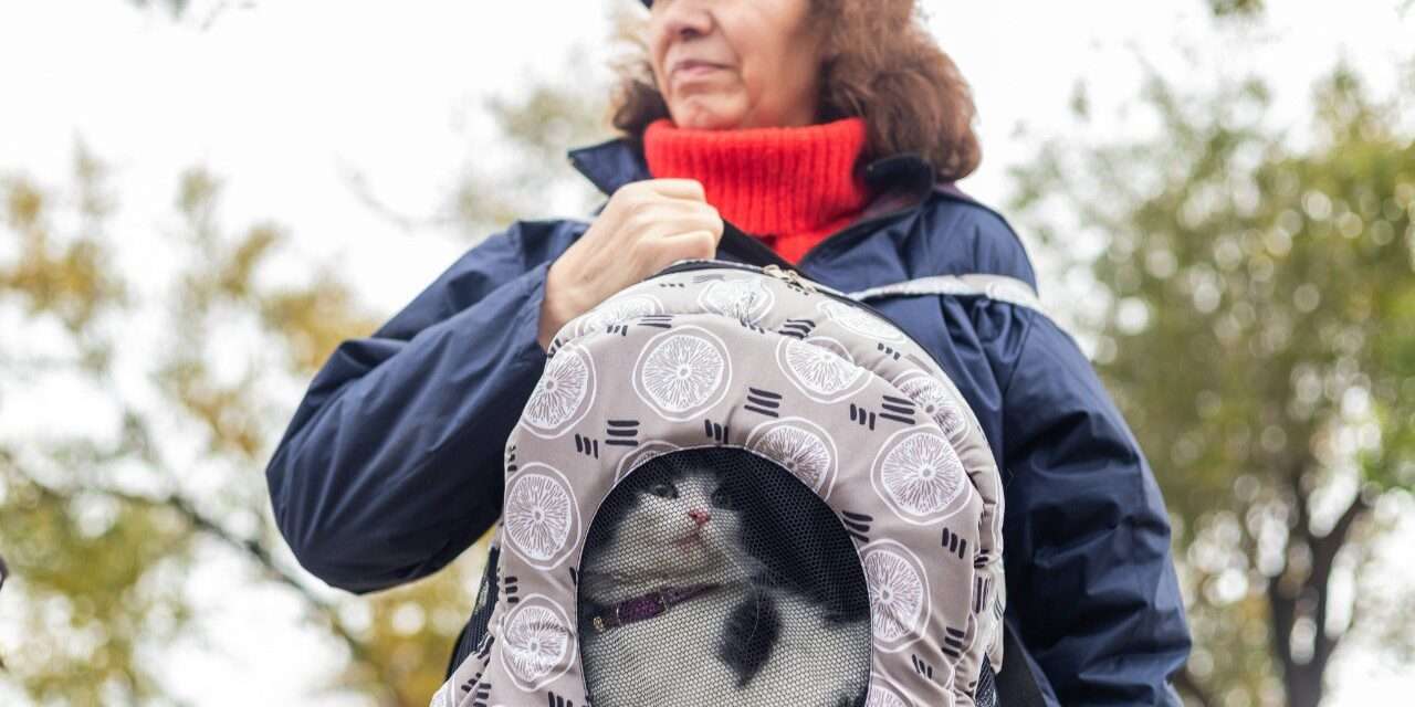 Nuevos turnos para el Punto de Castración Itinerante en Monte Chingolo