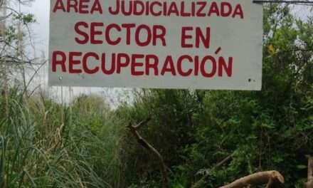 Desmantelan en Parque Pereyra una pista clandestina de ciclismo