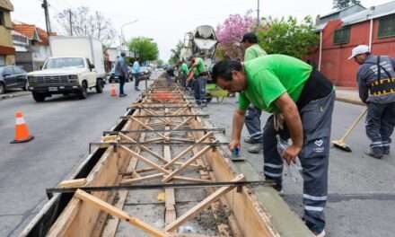 Parque Central Las Colonias: avanzan las obras de Lanús Gobierno en la Av. 29 de Septiembre