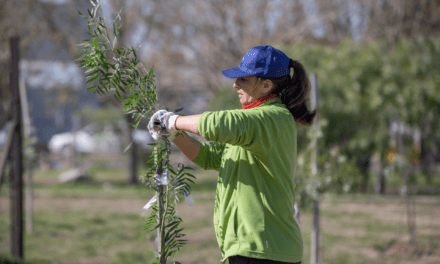 Plantarán un árbol cada 20 clientes que se adhieran a la Factura Digital de MetroGAS