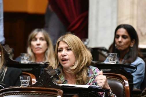 La Diputada Litza remarcó que "la renegociación de la deuda pública es una facultad absoluta e indelegable del Congreso"