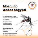 Campaña informativa en Berazategui para concientizar sobre el Dengue