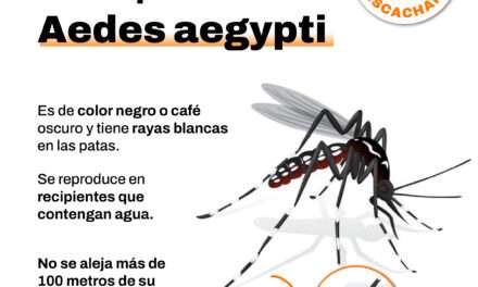 Campaña informativa en Berazategui para concientizar sobre el Dengue