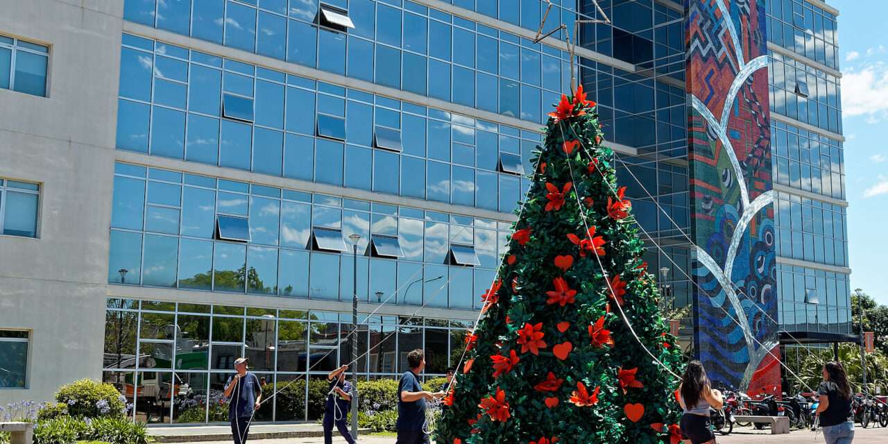 Otra Navidad y Berazategui vuelve a tener su Arbol Sustentable