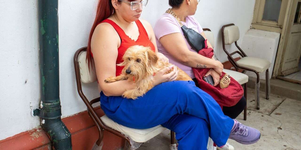 En Lanús se asignarán más turnos para el Punto de Castración Itinerante en NIDO Villa Jardín