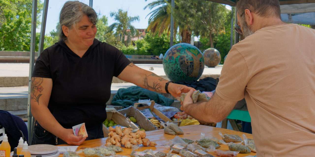 Frutas y verduras libres de agrotóxicos y a precios especiales en Berazategui