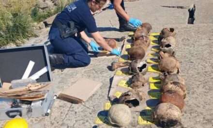 Apareció un video y ahora sospechan de un camión que llevó los 17 cráneos humanos a la Ribera de Quilmes