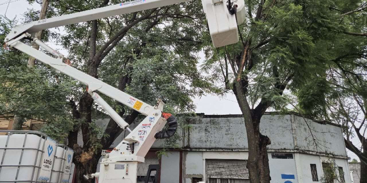 Defensa Civil y otras áreas municipales de Lanús trabajan a pleno desde la medianoche