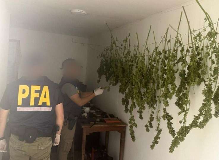 Secuestraron casi 200 Kilos de marihuana en Quilmes