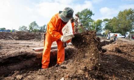 Lanús Gobierno avanza con nuevas obras en el Parque Lineal Monte Chingolo