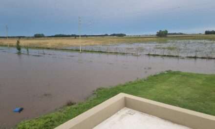 "Campos de la Enriqueta": Cien familias afectadas y una barrio cerrado abandonado a la buena de Dios