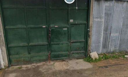 Preocupación por invasión de roedores en Bernal Oeste