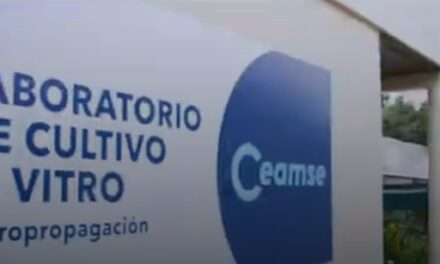 "Campeones del Planeta", nueva identidad de marca de CEAMSE