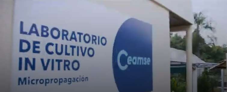 "Campeones del Planeta", nueva identidad de marca de CEAMSE
