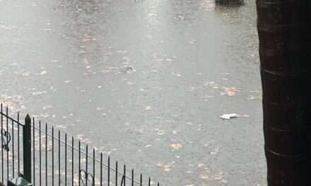 Alerta en el AMBA por las fuertes lluvias: Cayó en horas lo que llueve en todo mayo