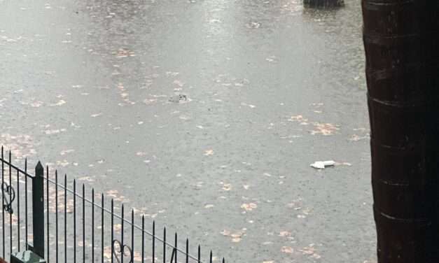 Alerta en el AMBA por las fuertes lluvias: Cayó en horas lo que llueve en todo mayo