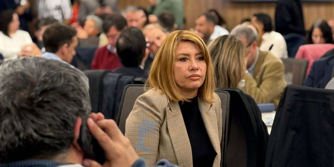 Diputada Mónica Litza: "Sin financiamiento no hay educación ni futuro"